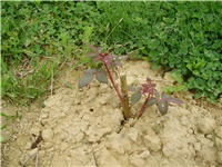 0e93f90d-22.02.2011. 107.jpg